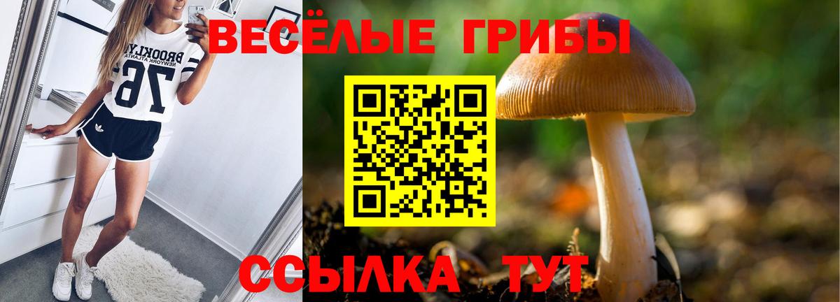Балахна  Галлюциногенные грибы Magic Shrooms  Вход с VPN 